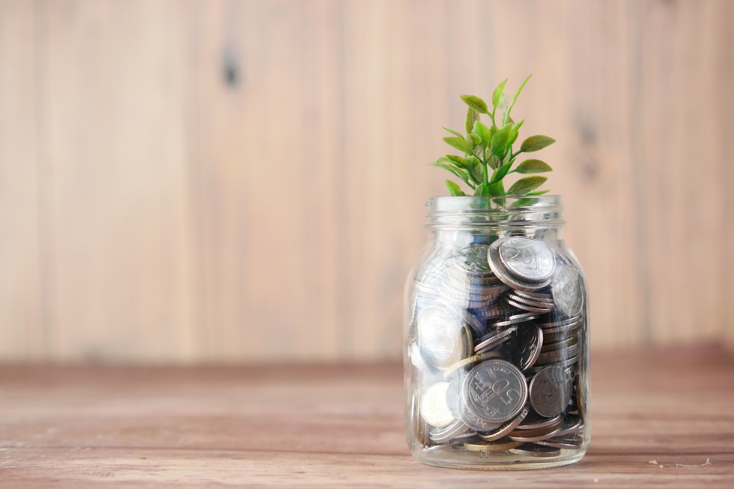 Benefícios da Educação Financeira: Como o Conhecimento Financeiro Pode Transformar Sua Vida
